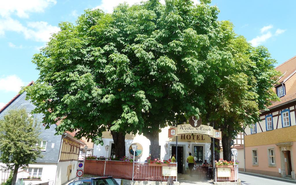 Mb Hotel Weisser Hirsch Hohnstein Bagian luar foto